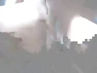Սթիվեն Պոնս և oshոշ Մայերս